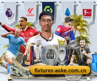 fixtures-aoke.com.cn APP